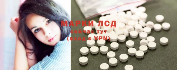 ГАЛЛЮЦИНОГЕННЫЕ ГРИБЫ Няндома