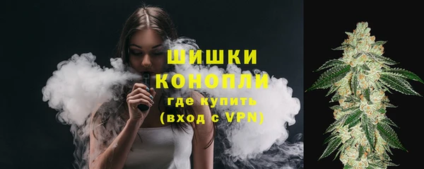 ГАЛЛЮЦИНОГЕННЫЕ ГРИБЫ Няндома