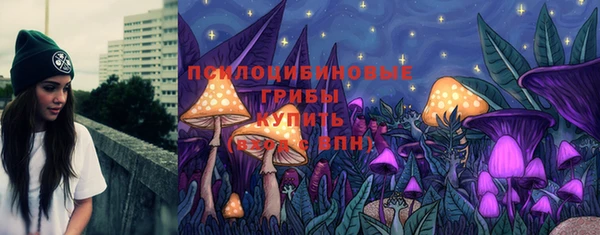 mdma Новозыбков