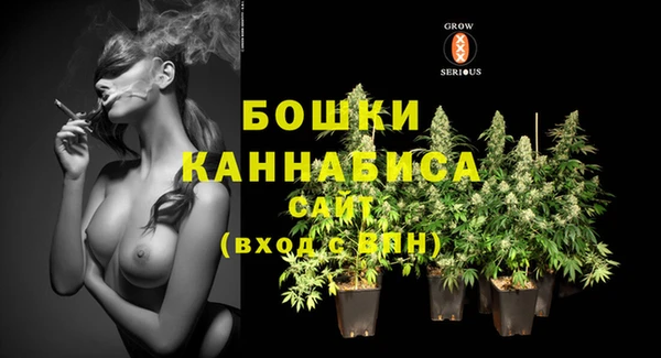 mdma Новозыбков