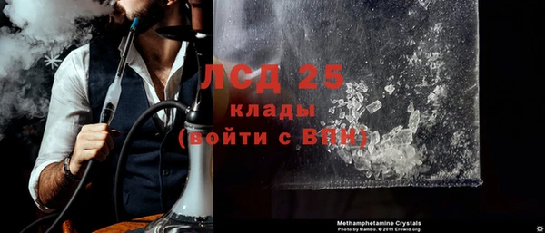 ГАЛЛЮЦИНОГЕННЫЕ ГРИБЫ Няндома